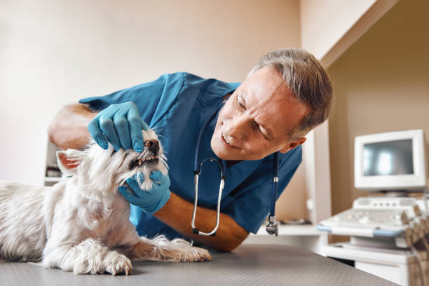 Best Emergency Wisdom Tooth Extraction in Palmview, TX